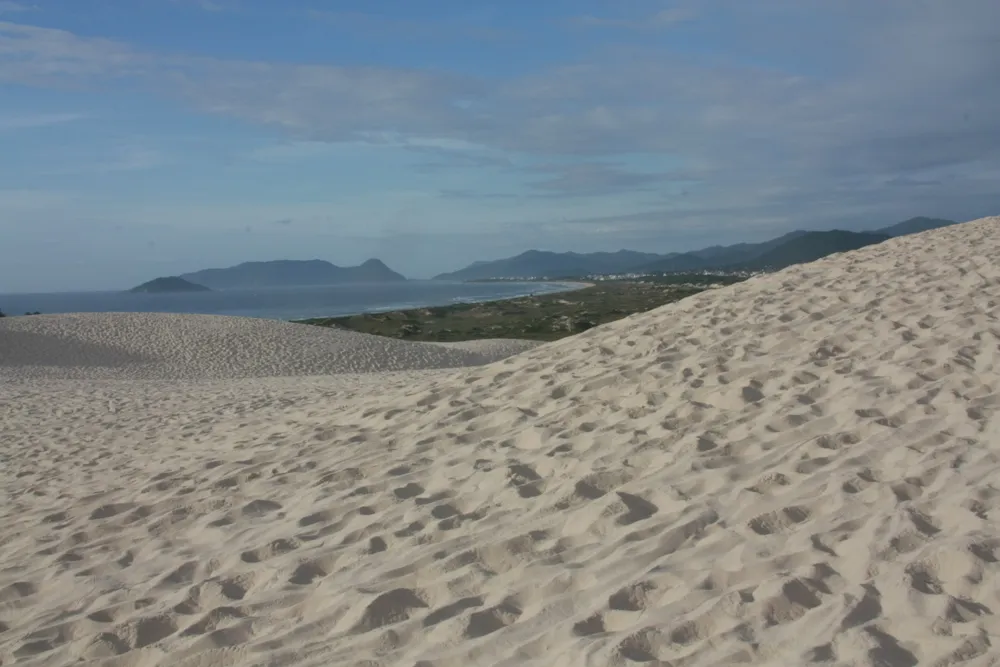 Dunas de areia clara da Joaquina com marcas do vento e vegetação ao fundo
